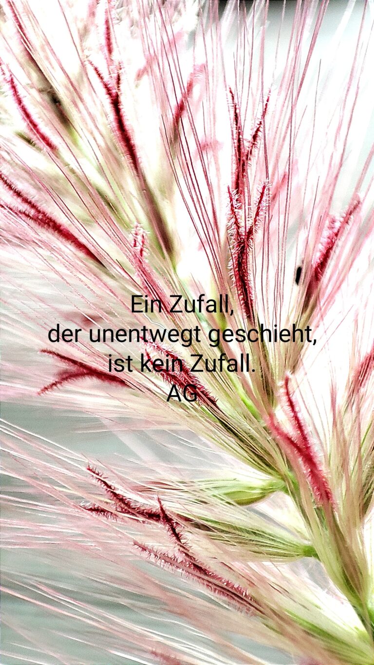 Read more about the article „Zufall“