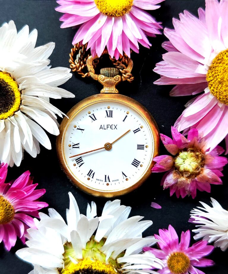 Mehr über den Artikel erfahren Trockenfloralien