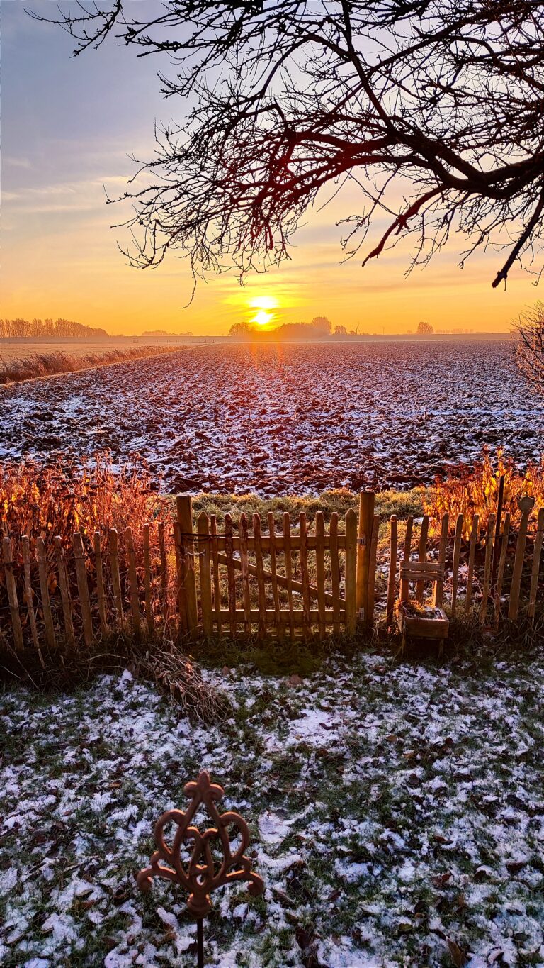 Read more about the article Winter in Ostfriesland