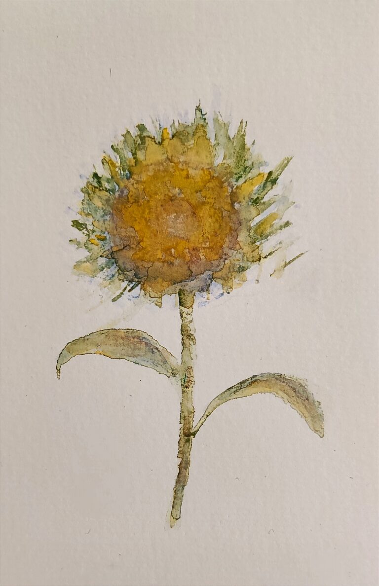 Mehr über den Artikel erfahren Aquarell Sonnenblume