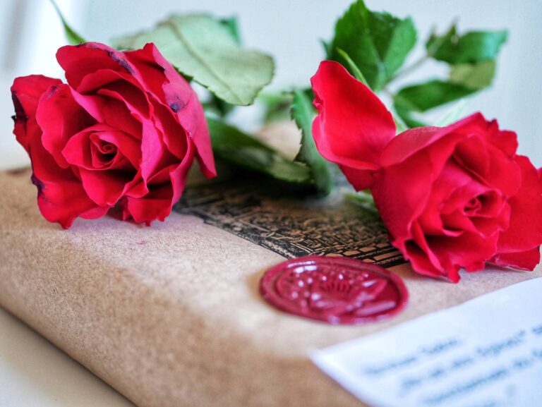 Read more about the article Bücher und Blumen – Blind date with a book