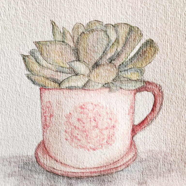 Mehr über den Artikel erfahren Kunst in Ostfriesland – Echeveria