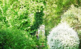 Gartenliebe