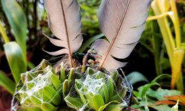 Naturliebe