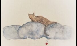 Wolke 7