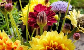 Bunt, meine Lieblingsfarbe
