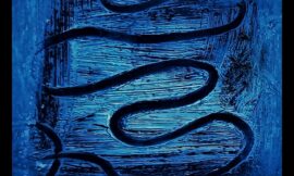 Die blaue Edition