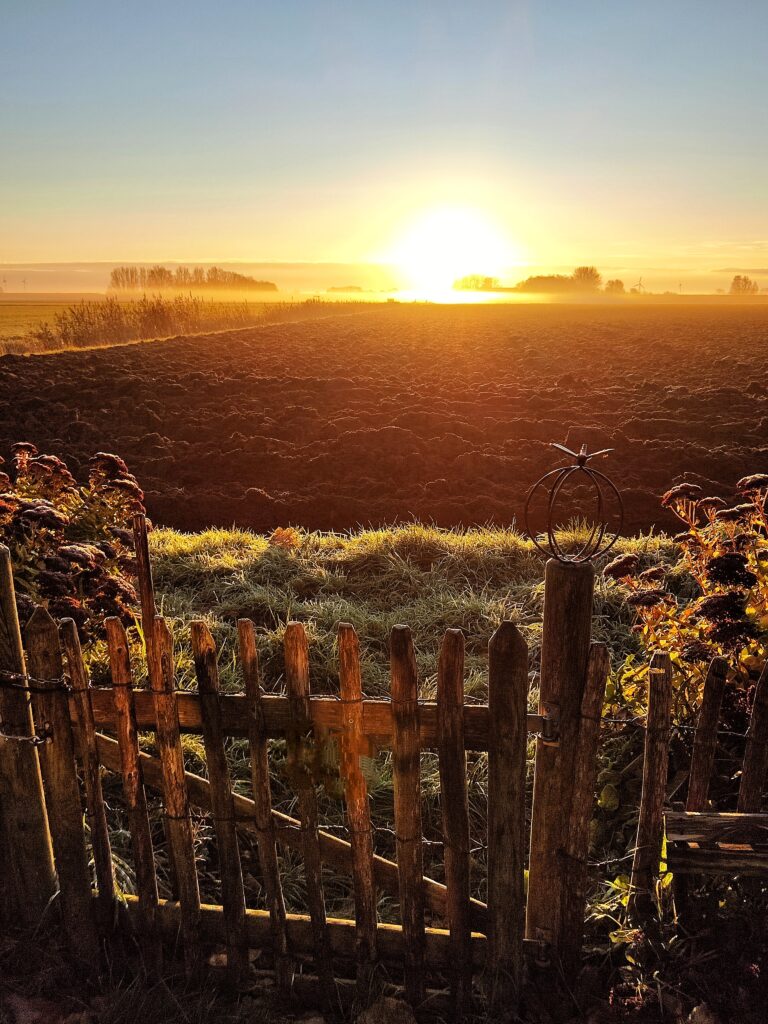 Mehr über den Artikel erfahren Ein Dezembermorgen in Ostfriesland