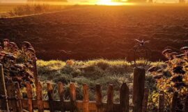 Ein Dezembermorgen in Ostfriesland