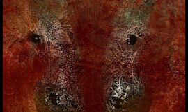 Interferenz